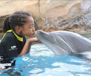 A young girl in an aquarium at SeaWorld San Antonio kisses the nose of a dolphin.