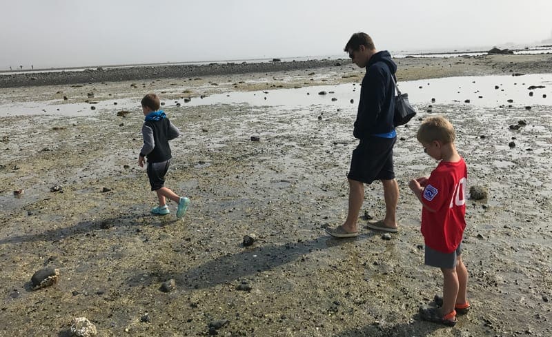 A man and two young boys walk along a beach toward Bar Island, one of the best things you can do in Acadia National Park with kids.