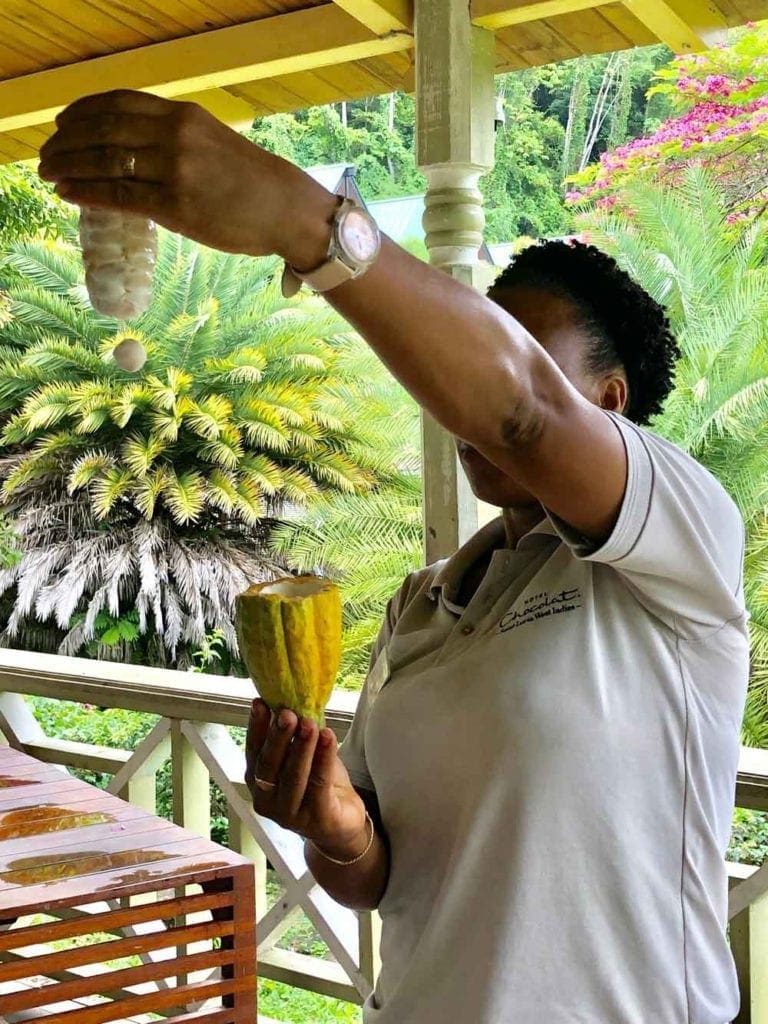 Resort staff engage families in activities while on a St. Lucia vacation.