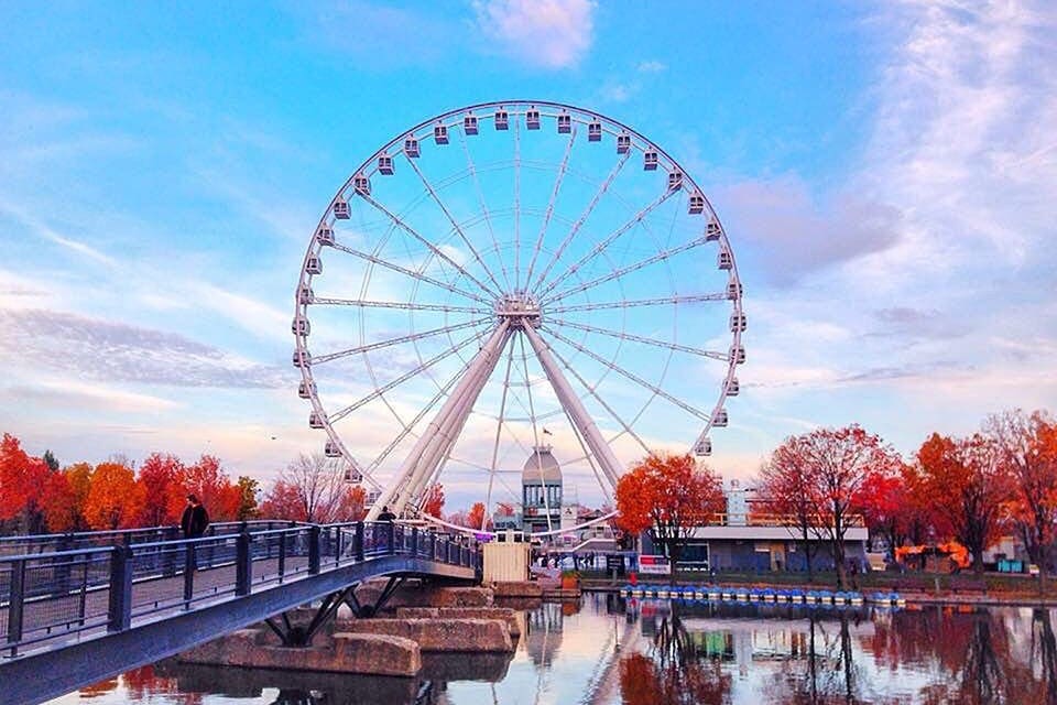 The large La Grande Roue de Montréal ferris wheel in Montreal is flanked by rows of bright autumn trees.