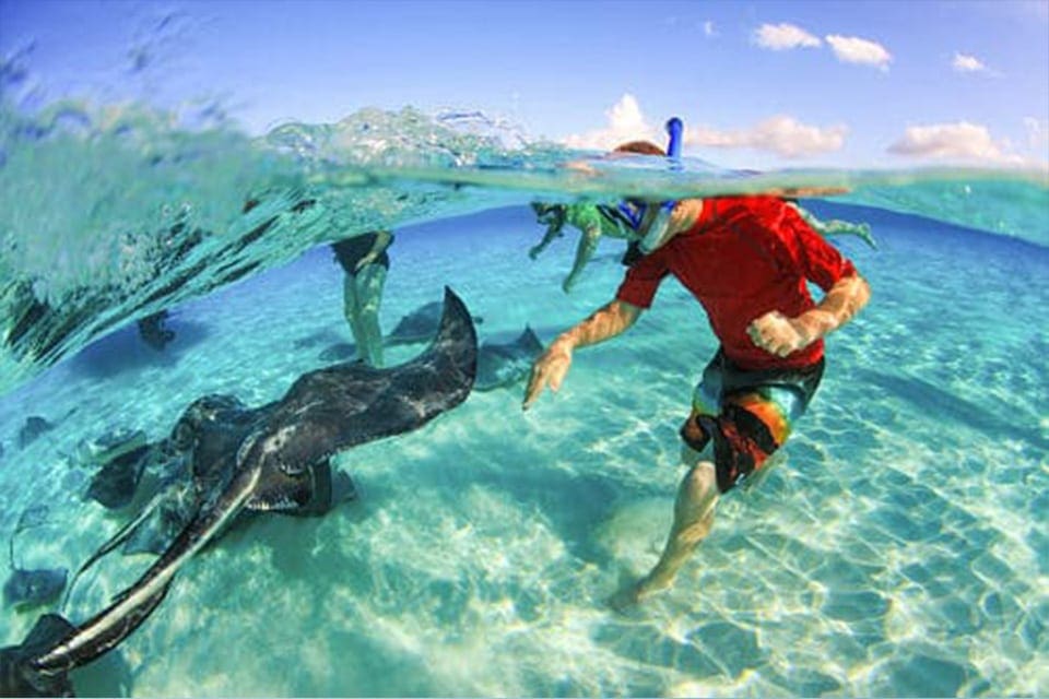 A young child wearing snorkeling gear reaches in the water to pet a stingray at Stingray City, one of the best things to do in Antigua with kids