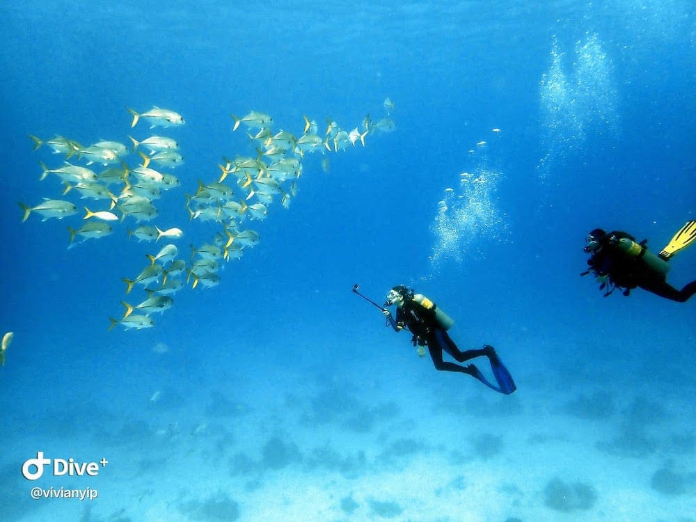 Photo: Snorkeling in Turks and Caicos by Vivian Yip