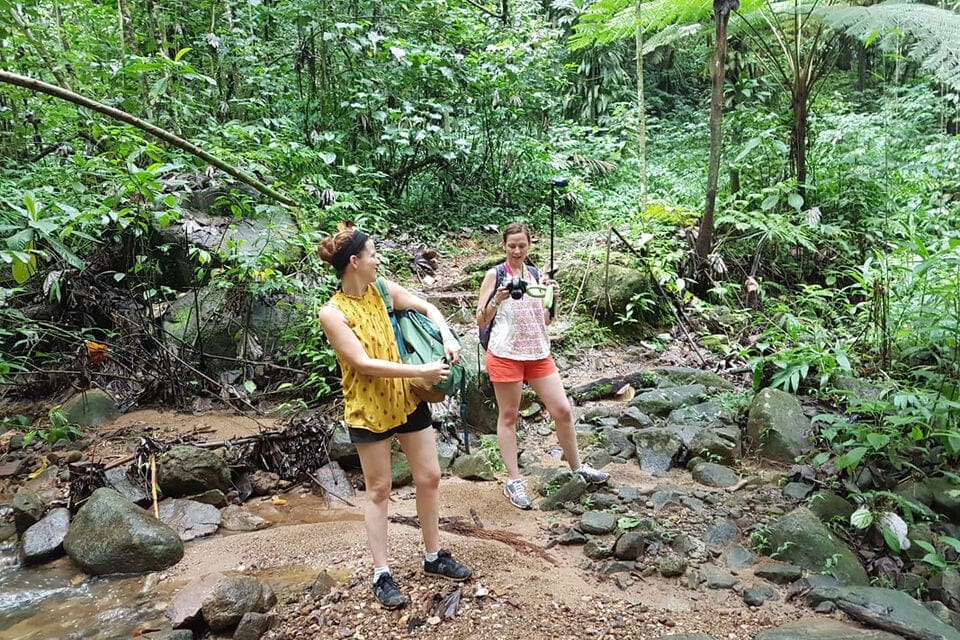 Two women hikers trekking through the jungle in St. Lucia.