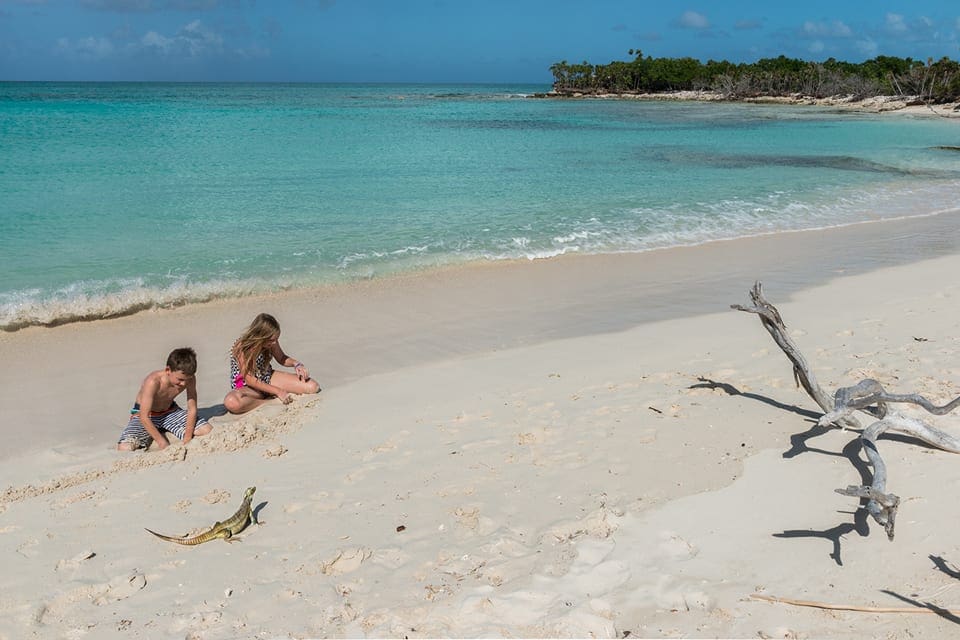 An iguana runs past two kids playing on the beach at Little Water Cay.
