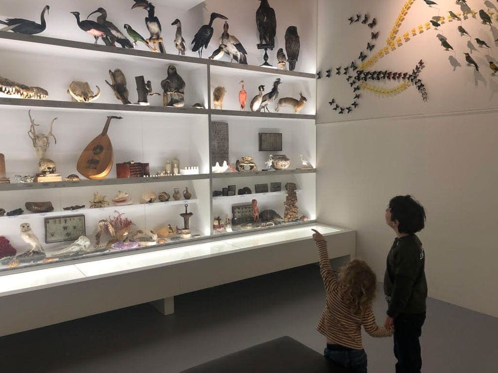 Two kids enjoy an exhibit at the Archaeology Museum in Montreal?