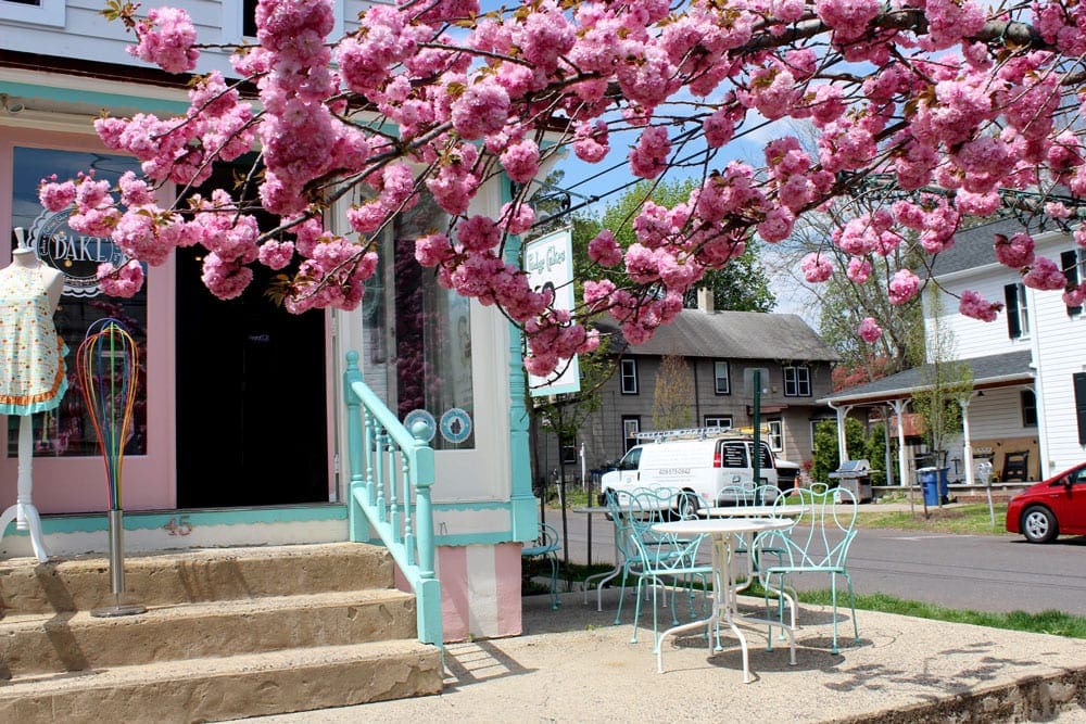 Spring time in New Hope, PA, featuring a colorful shop with a flowering tree out front, one of the best places to visit during Memorial Day Weekend near NYC for families.