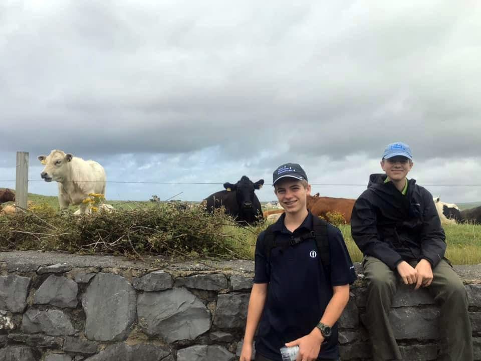 Two children sit along a rock wall with cows behind them. Rock walls are a common site at you drive through Ireland.