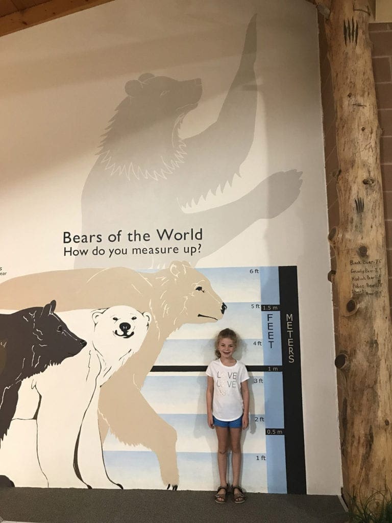 A young girl stands along a while measuring her height against that of wild bears drawn to scale on the wall.