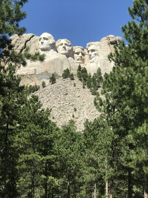 A view of Mount Rushmore on a cloudless day with a number of evergreen trees in the foreground.