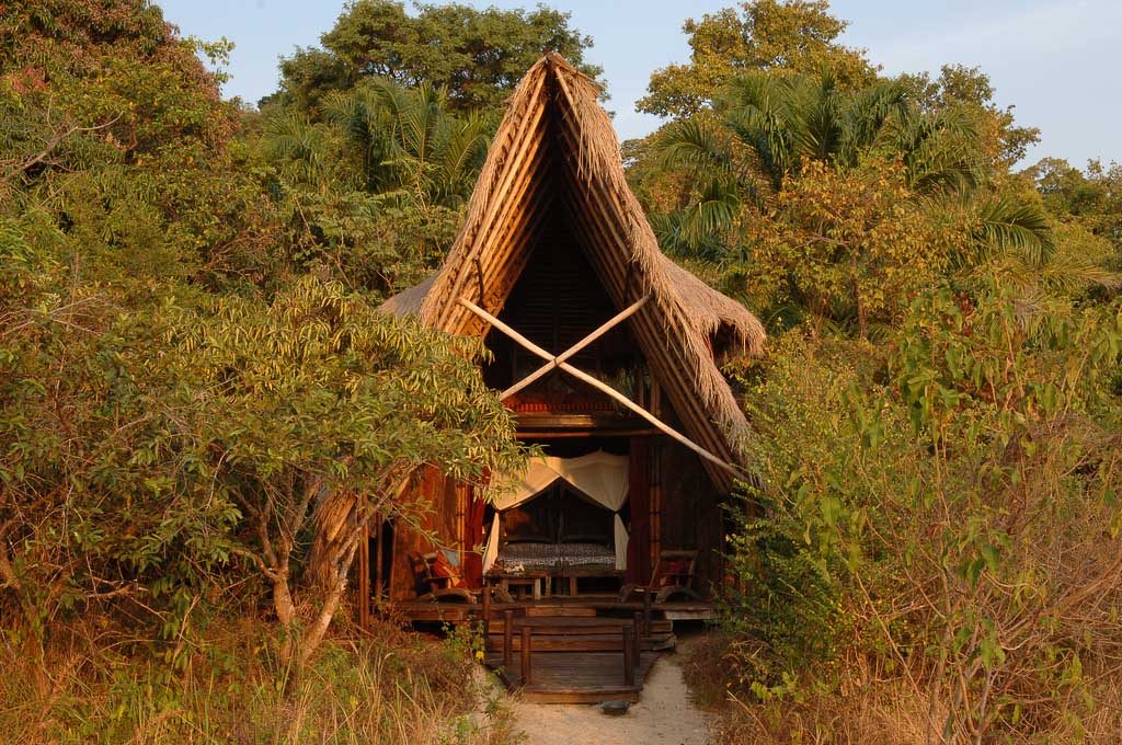 A cute hut in the forest