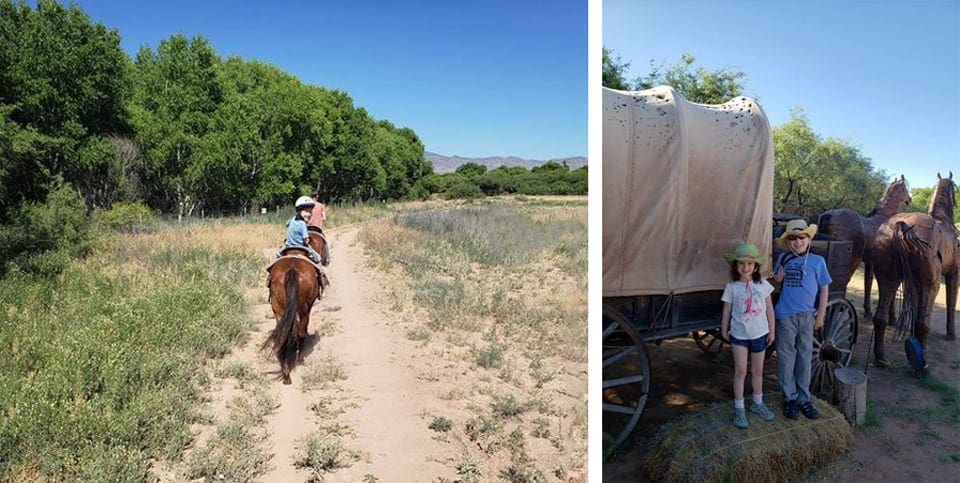 In the foreground the head of a brown horse is pictured, with another brown horse and rider in front of it. The path is dusty, but lined by trees.