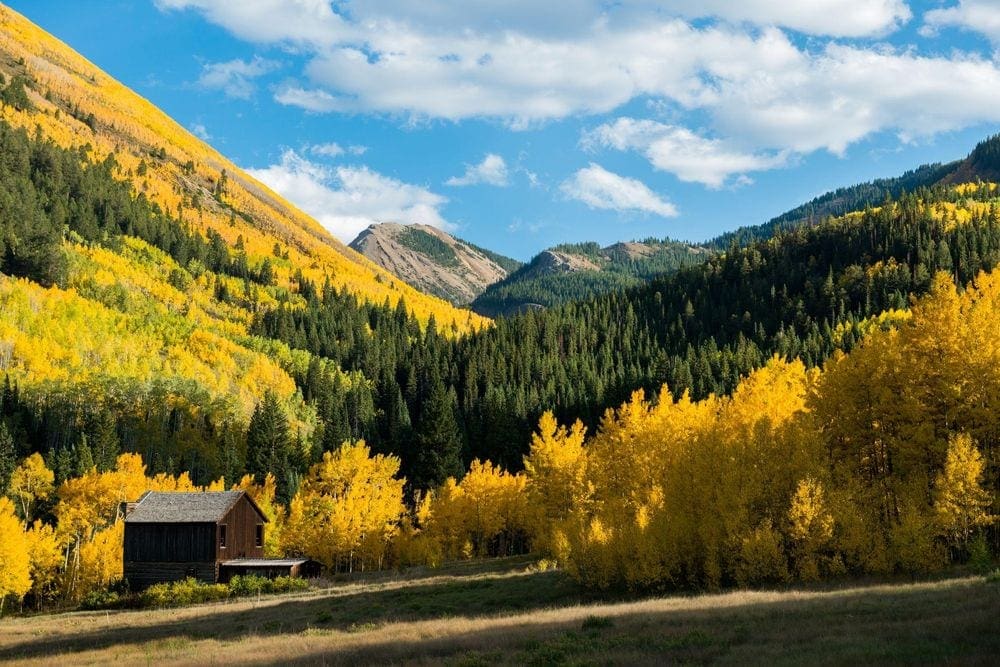 Nestled in a field of yellow and green trees rests an old brown barn in Aspen, one of the best weekend getaways near Denver for families.