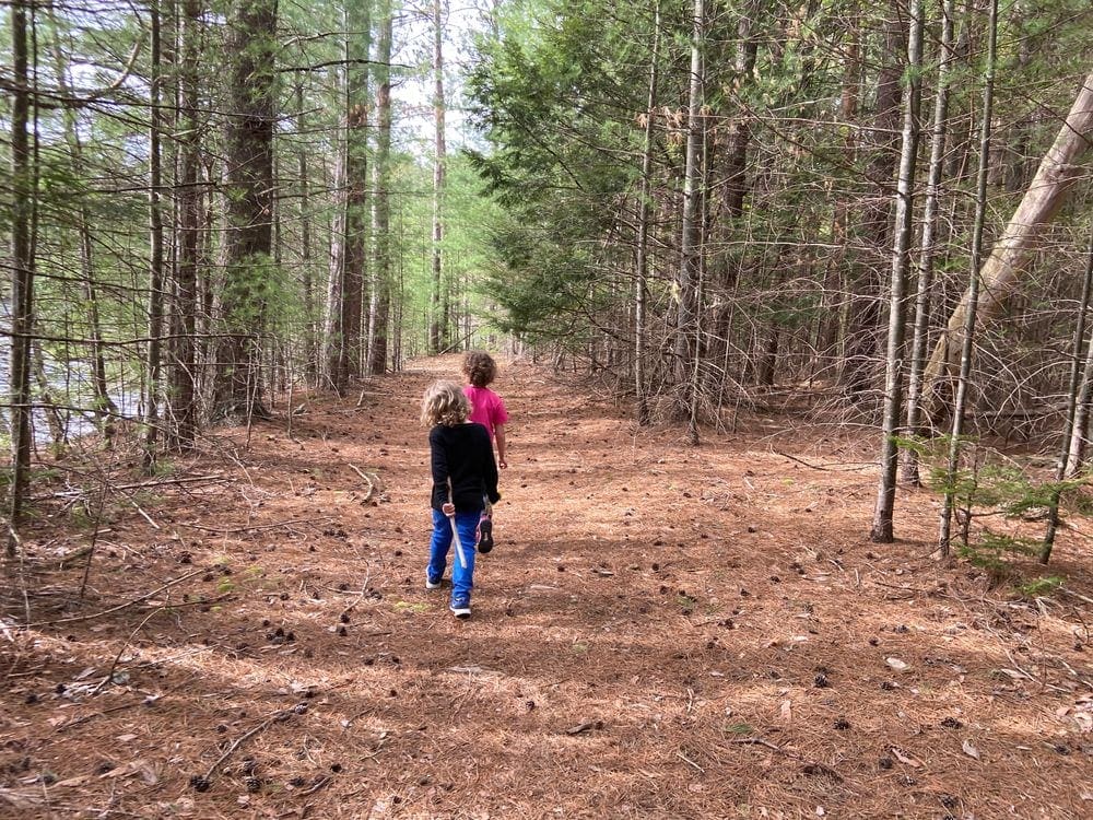 Two young child walk along a wooded path in the Catskill Mountains.