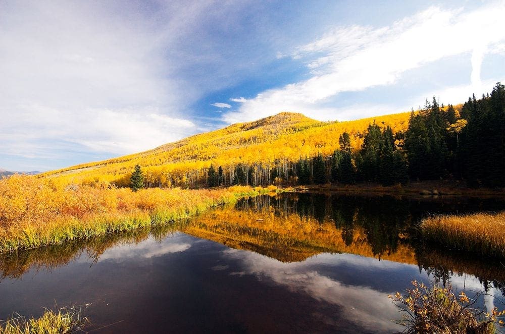A shimmering lake surrounded by the golden colors of fall in Kenosha Pass. Families will love seeing the fall colors in Colorado with kids by taking the Kenosha Pass.