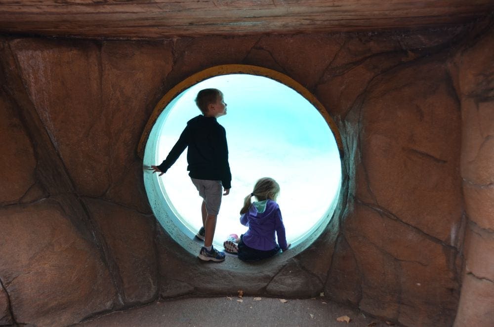 Two kids sit within a large window peering into a underwater exhibit at the London Zoo.