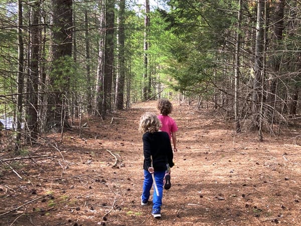 Two kids hiking on a trail in the Catskill Mountains.
