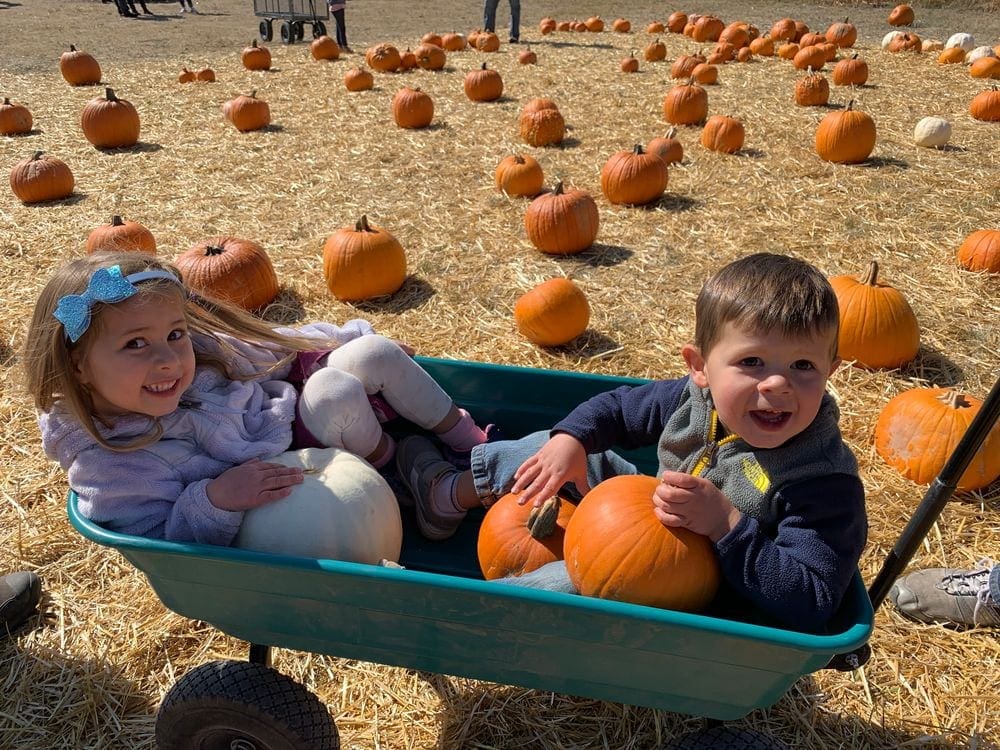 Two kids sit in a green wagon holding pumpkins in the middle of a pumpkin patch.