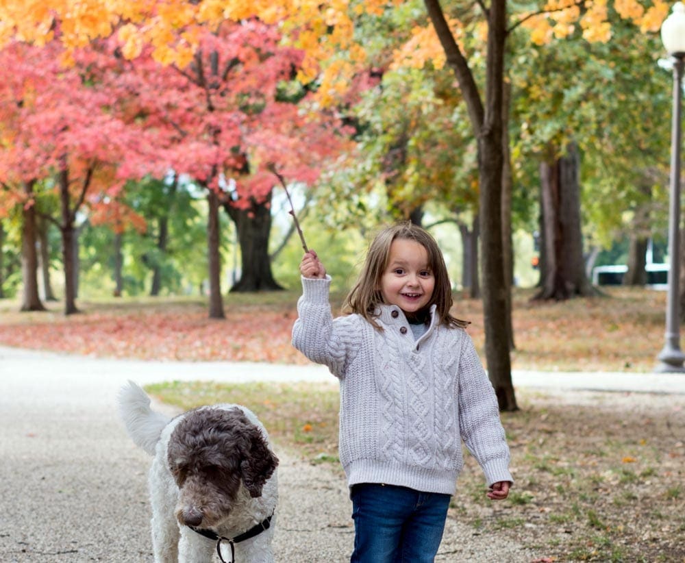 A young boy stands smiling holding a stick in the air, while his dog stands nearby. Behind them is an array of fall foliage on a path within Central Park.