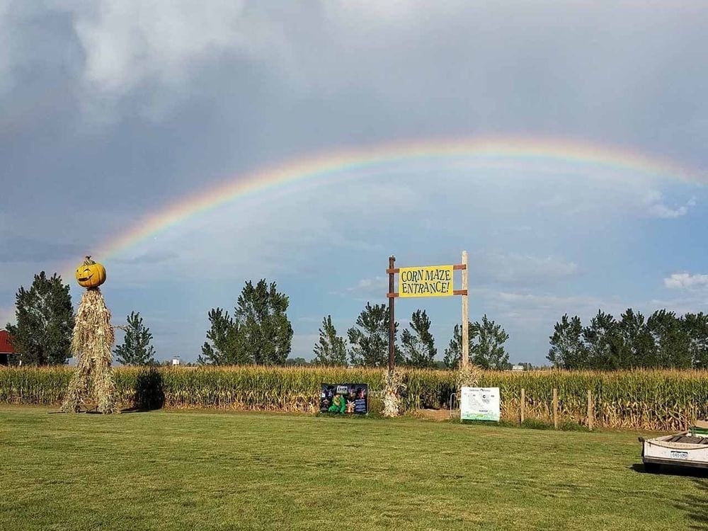 A rainbow stretches over Anderson Farm on a sunny autumn day.