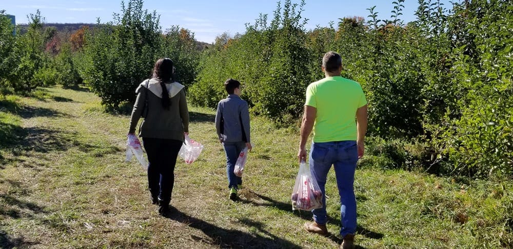 A dad and his two teenagers stroll through Masker Orchard looking for the perfect crop.