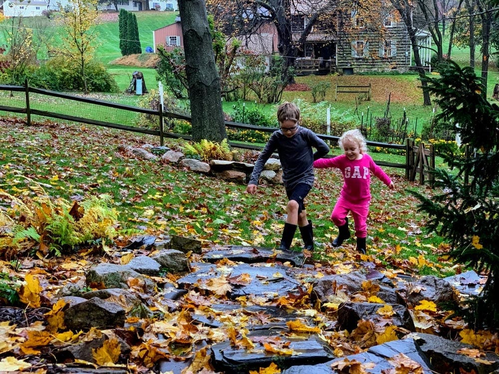 Two young children walk hand in hand among fallen leaves over a rocky part within a field.