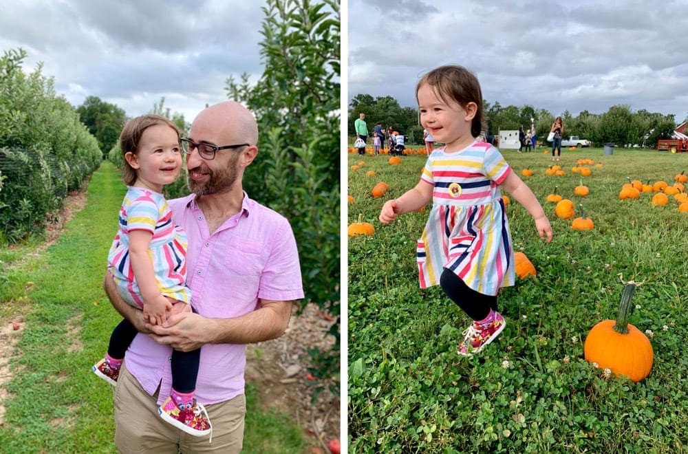 Father folding a little girl in her arms in the picture on the left and little girl running on the right in a pumpkin patch