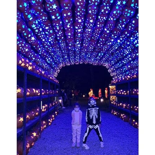 Two kids in costume stand in a lit tunnel of pumpkins in Sleepy Hallow.