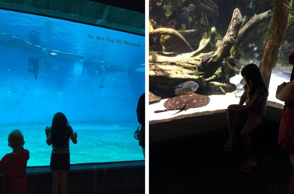 Left Image: Two young children peer into a huge aquarium tank at the National Aquarium in Baltimore. Right Image: A child looks upon a large stingray inside an exhibit at the National Aquarium in Baltimore.