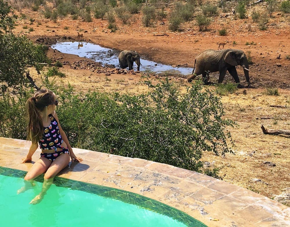 A young girl sitting on the edge of a pool looks behind her at a mama and baby elephant while on an African Safari, one of the vacations to plan a year in advance.