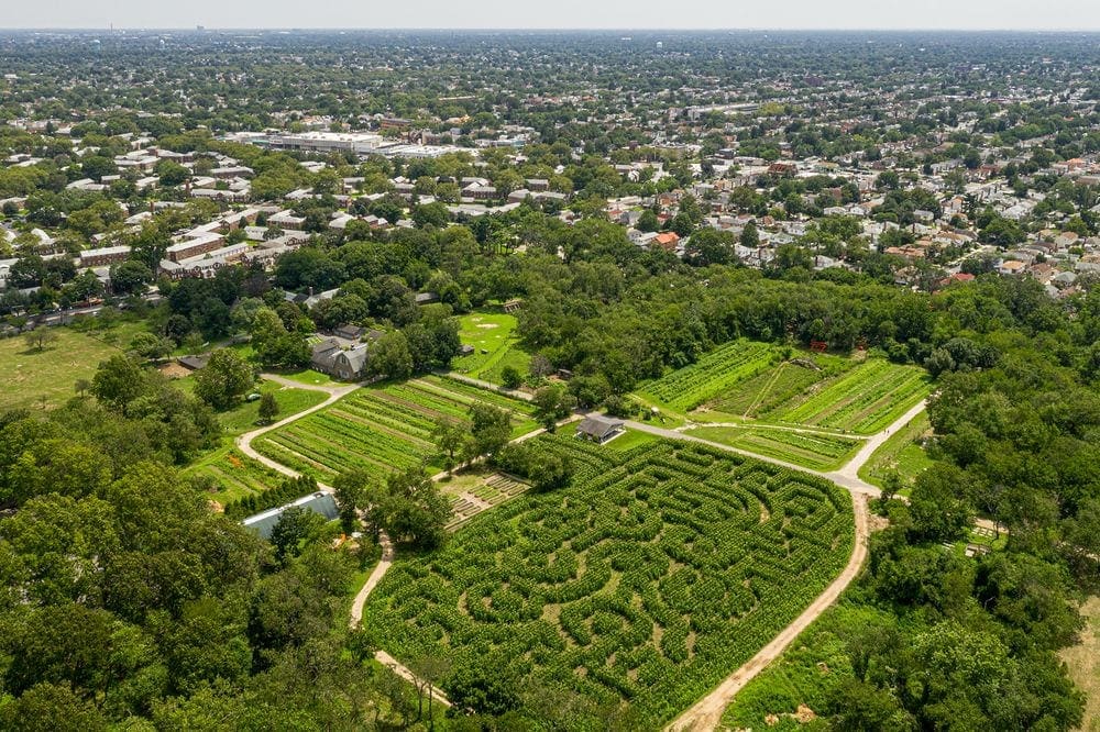 An aerial view of Queens County Pumpkin Patch, including a maze and farmland.