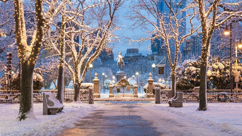 A street in Boston glistens with lit trees and snow during the holidays.