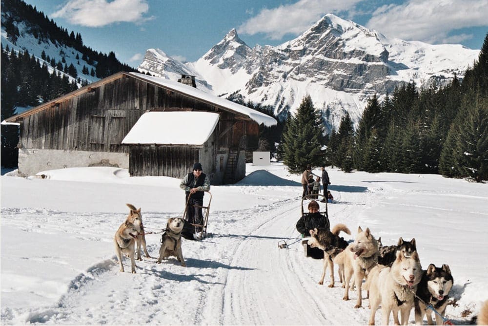 Two men stand side by side holdng on to dog sleds with several dogs leading the sleds.