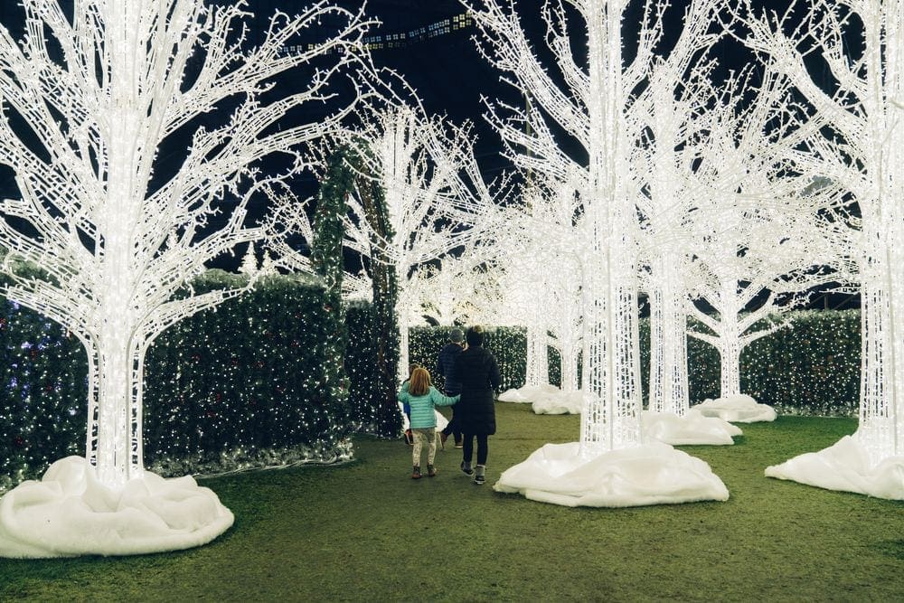 A woman and young child walk through a magical forrest of lights at the Very Philly Christmas event at the Wells Fargo Center in Philadelphia.