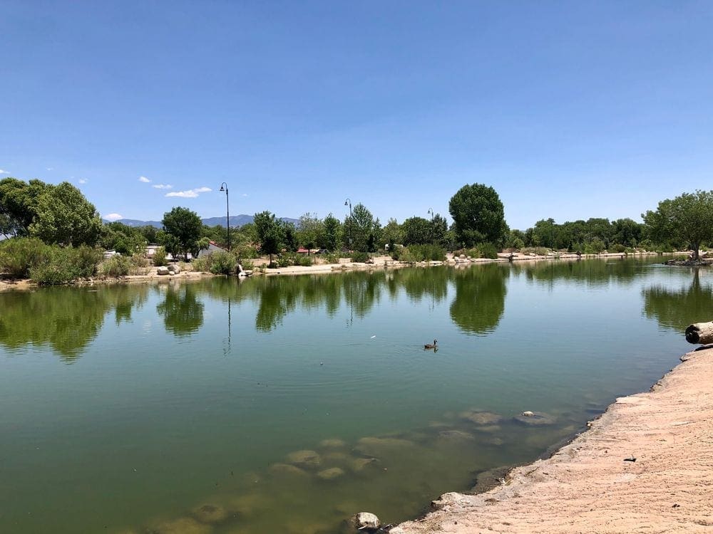 A view of the Rio Grande on a clear day.