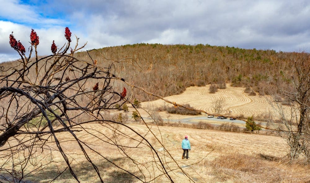 A solo hiker wearing a blue coat walks along a path at the Shenandoah National Park.