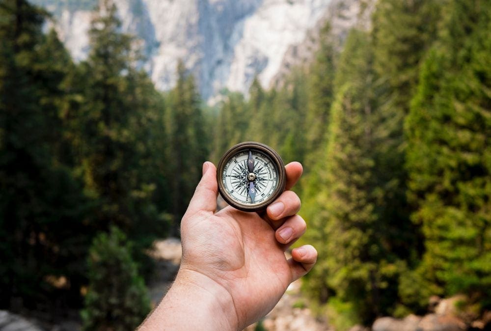 A hand reaches out holding a compass with vast wilderness behind it.
