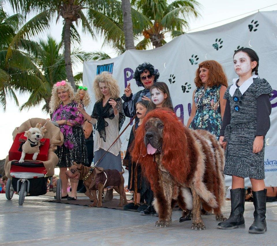 A group of human and canine performers in elaborate costumes on a stage with palm trees in the background, taken at Casa Marina Key West, one of the best family hotels in Key West and the Florida Keys.