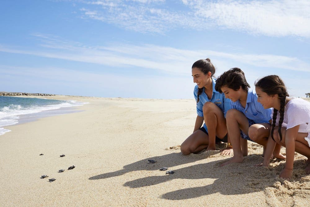 Two kids release baby turltes with a staff member at Four Seasons Resort Los Cabos at Costa Palmas.