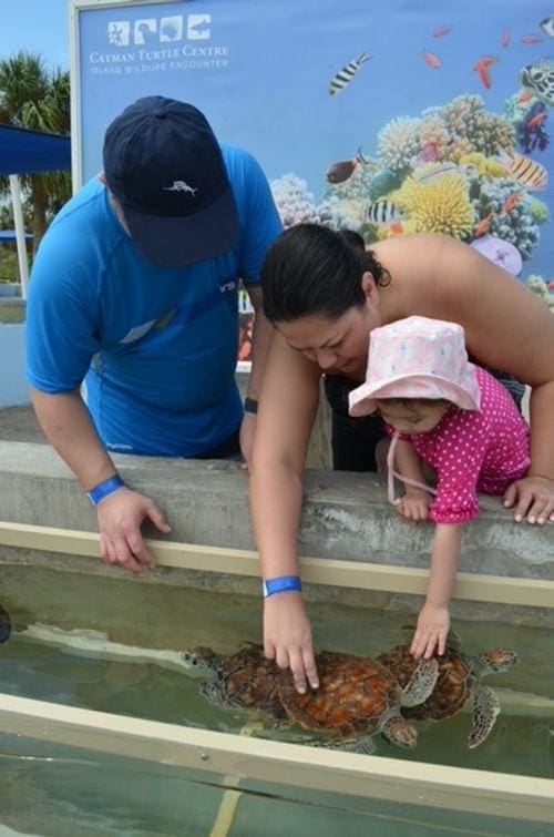 A family of three reaches down to touch several turtles at the Turtle Farm.