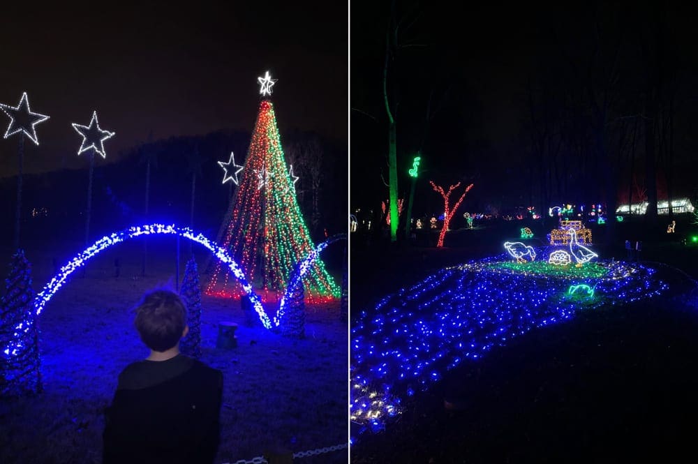 Left Image: A young boy looks upon a Christmas display at Medowlark Winter Walk of Lights. Right Image: A colorful Christmas light display at Medowlark Winter Walk of Lights featuring geese.
