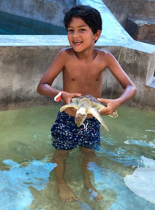 A young boy holds a turtle at the Turtle Farm in Grand Cayman.