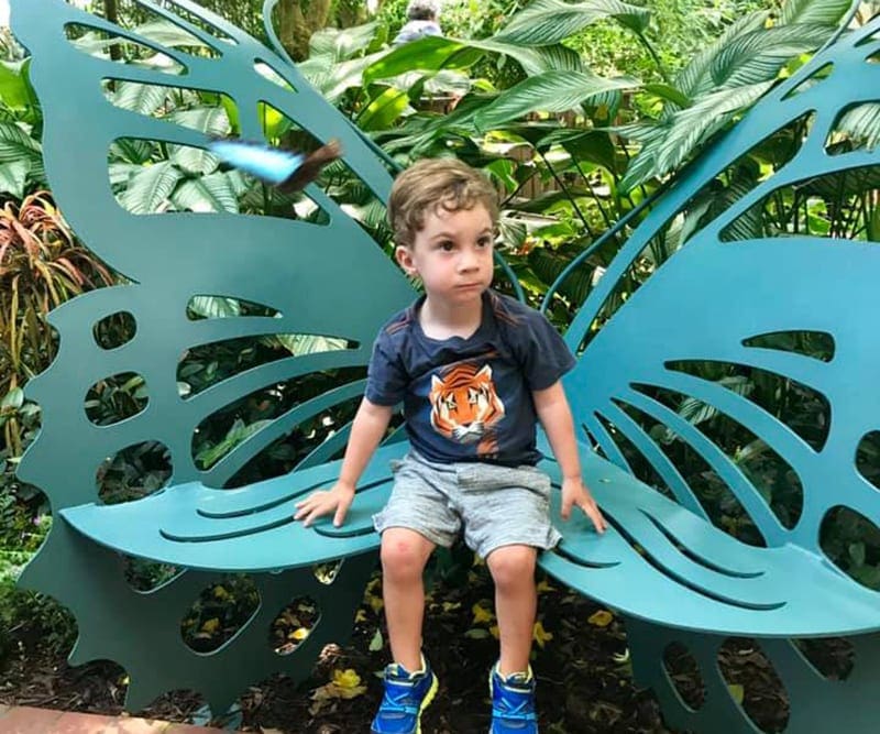 A young boy sits on a butterfly shaped bench at the Butterfuly Conservatory in Key West.