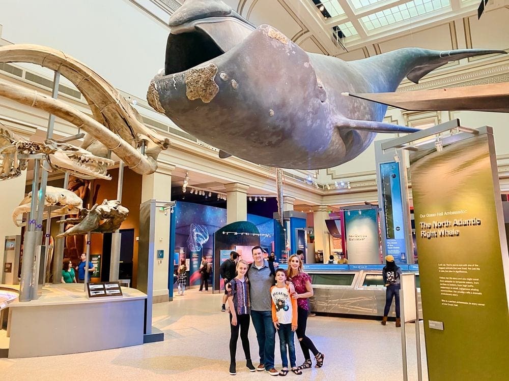 A family of four stands under a whale exhibit in a museum in Washington DC, one of the best Labor Day Weekend getaways near NYC with kids.