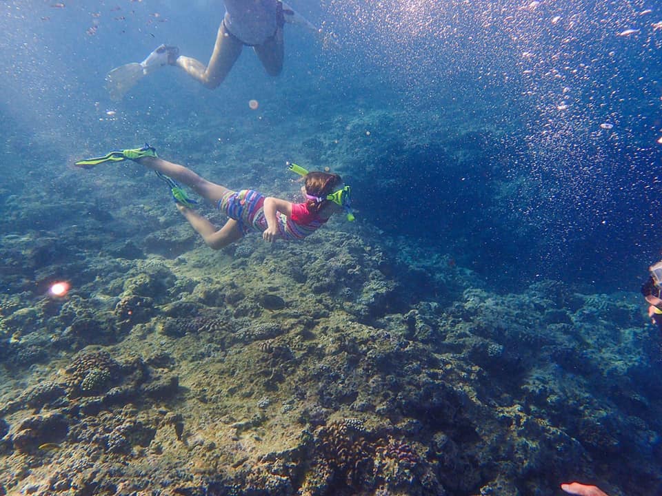 A young child snorkels underwater with proper flippers in Okinawa, Japan.
