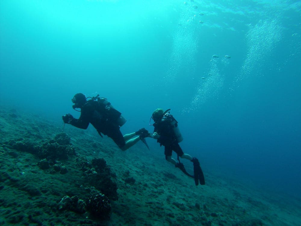 Two scuba divers explore off the coast of Maui.