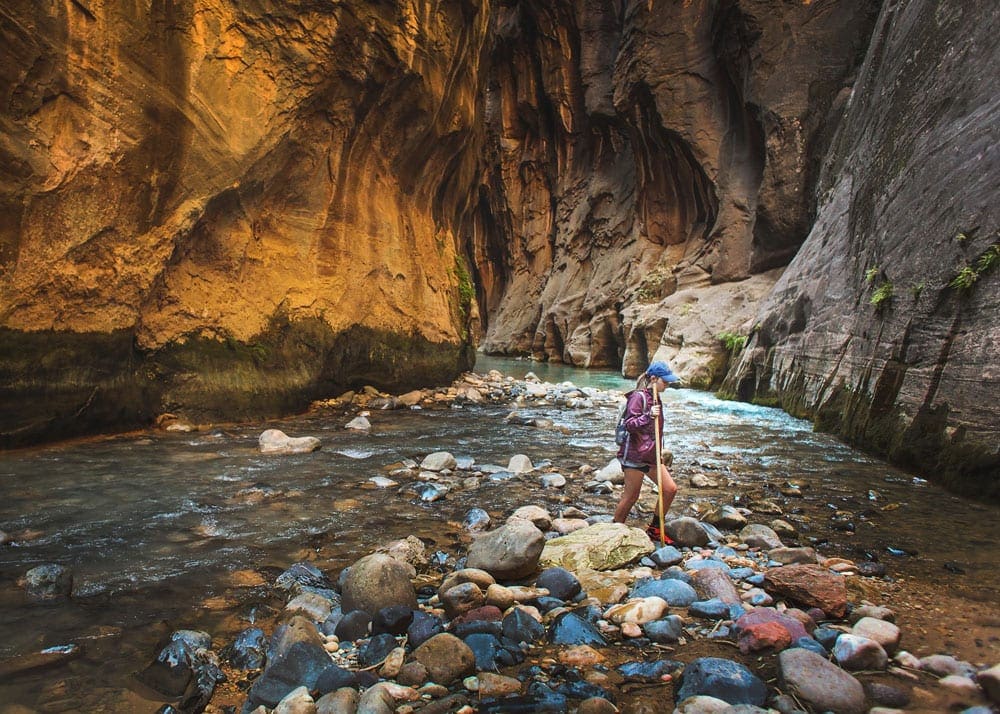A hiker wading through the river in The Narrows, Zion National Park. 