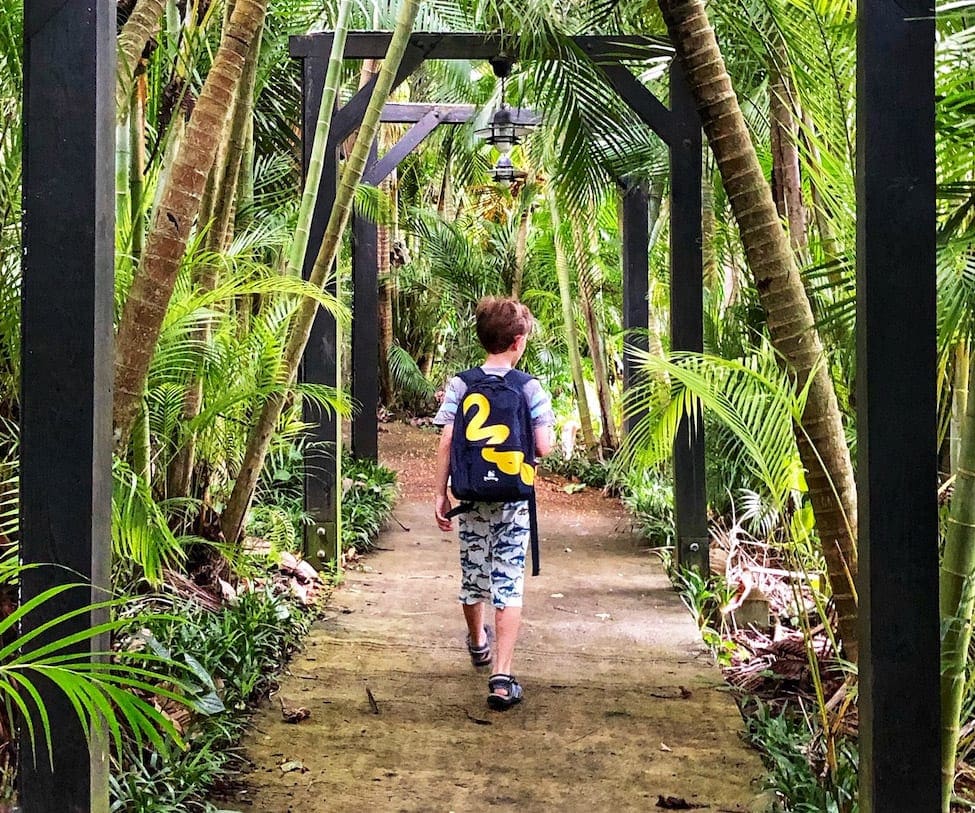 A young boy wearing a back pack walks down a trail among lush foliage in Saint Lucia.