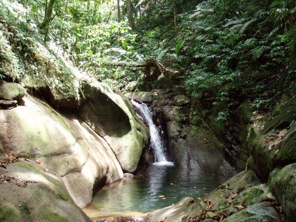 The Enbas Saut Waterfall, nestled among rock and lush greenery.