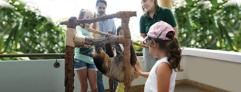 A young girl interacts with a sloth and the sloth's keeper at a discussion at The Green Planet.