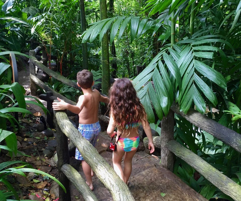 Two kids walk along a path with lush foliage surrounding the trail in Costa Rica, one of the top places in travel in 2023 with kids.